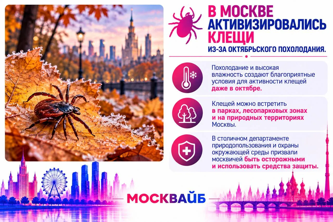 Листья опадают, температура падает, клещи продолжают строить планы.