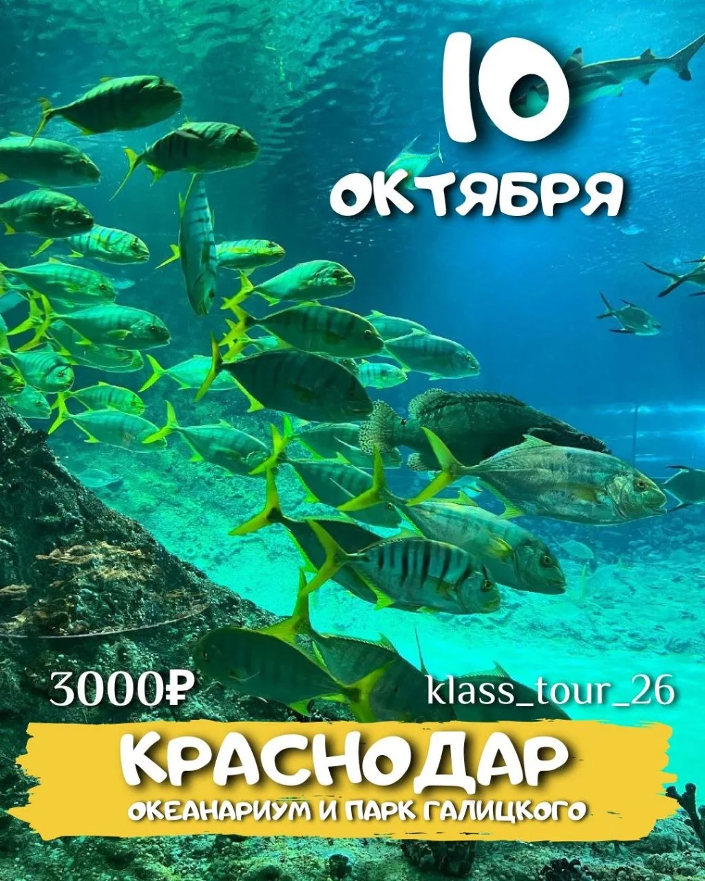 ‼️Освободилось 3 места