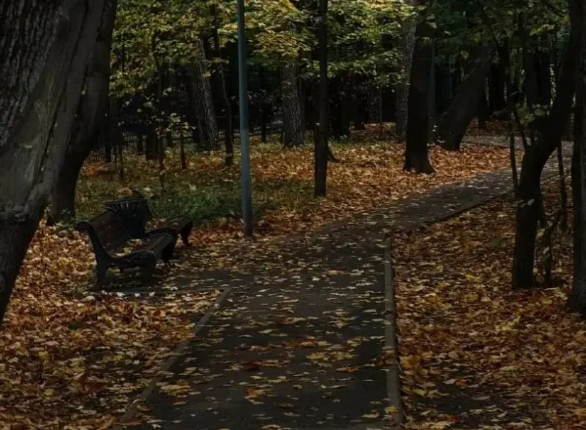 🍂 Золотая осень преобразила парк Покровское-Стрешнево