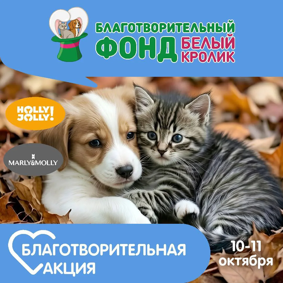 Друзья, объявляем Добрые выходные!✨