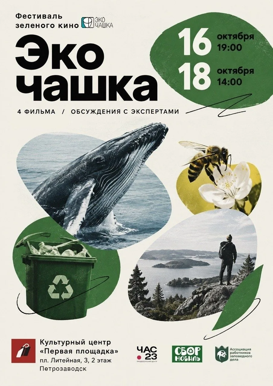 😍Показы зеленого кино пройдут в Петрозаводске