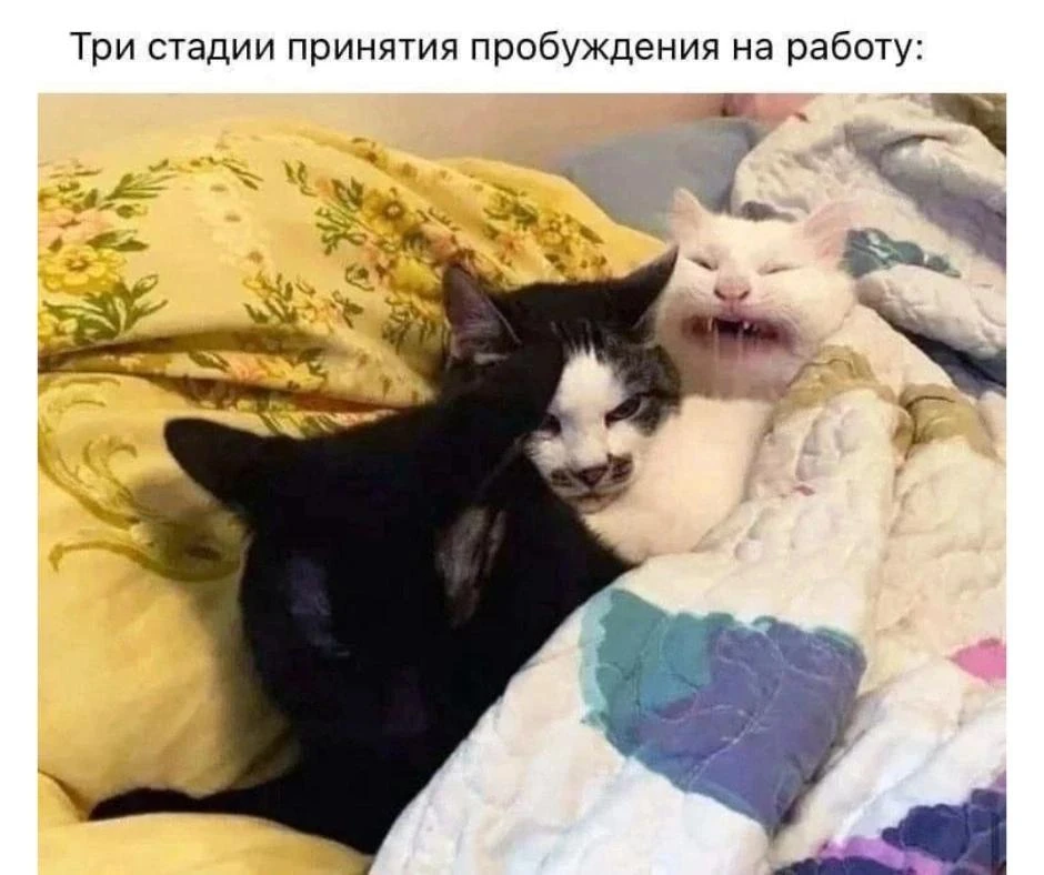 Пробуждение на работу