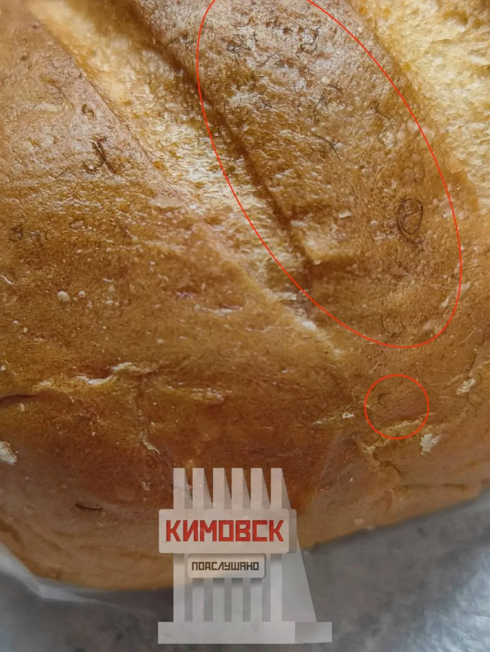 📩 От читателя