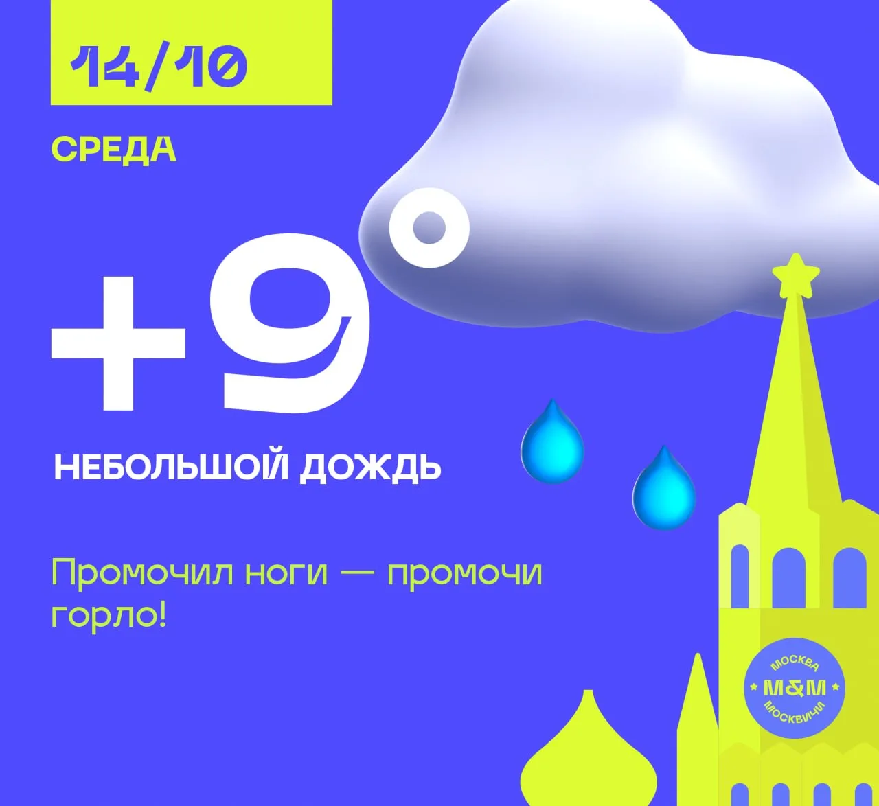 Дождливая погодка. Температура воздуха  днём +8, вечером +6°C.
