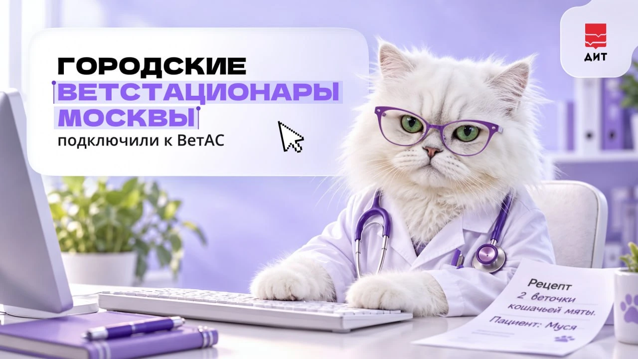 🐶 Питомца срочно привезли в ветстационар, но у вас с собой нет результатов анализов и ...
