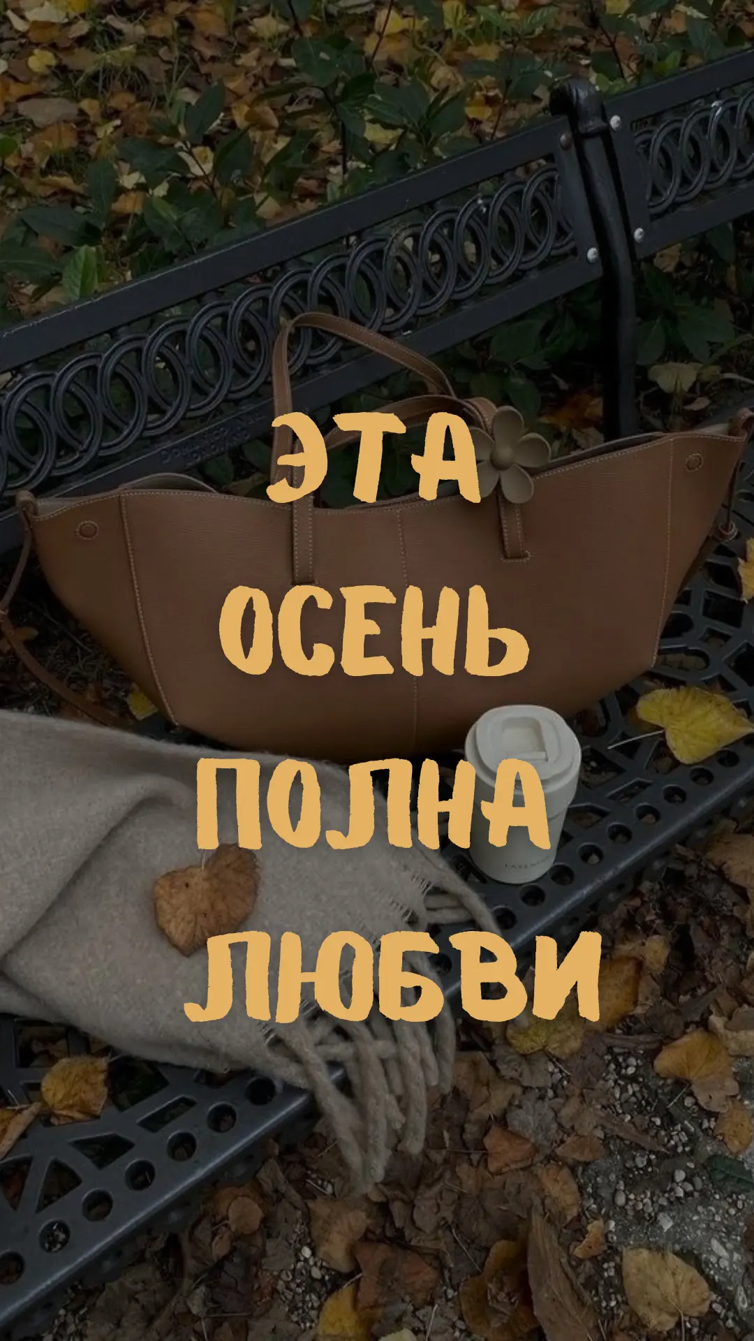 Autumn vibe 🍂🤎✨