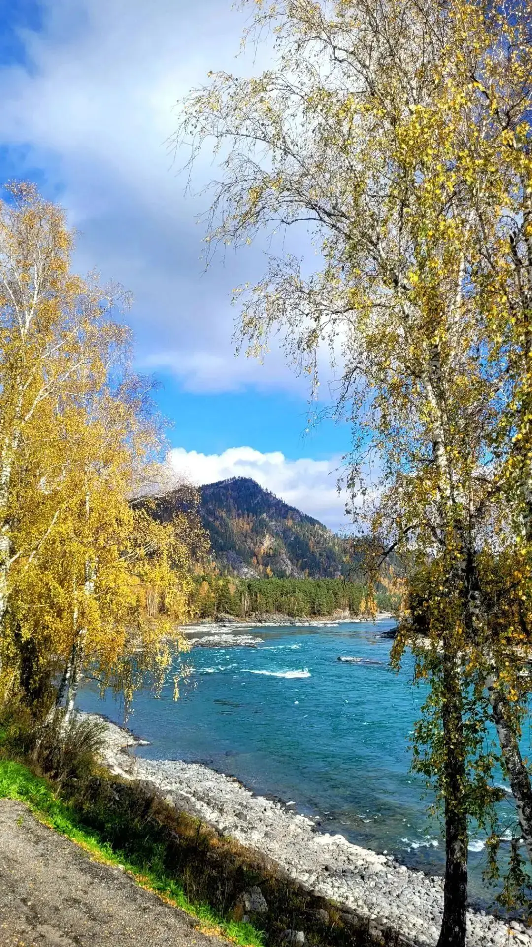 Бирюзовая Катунь 11.10.2026.г  Фото сделаны вчера 🍁💛🍂