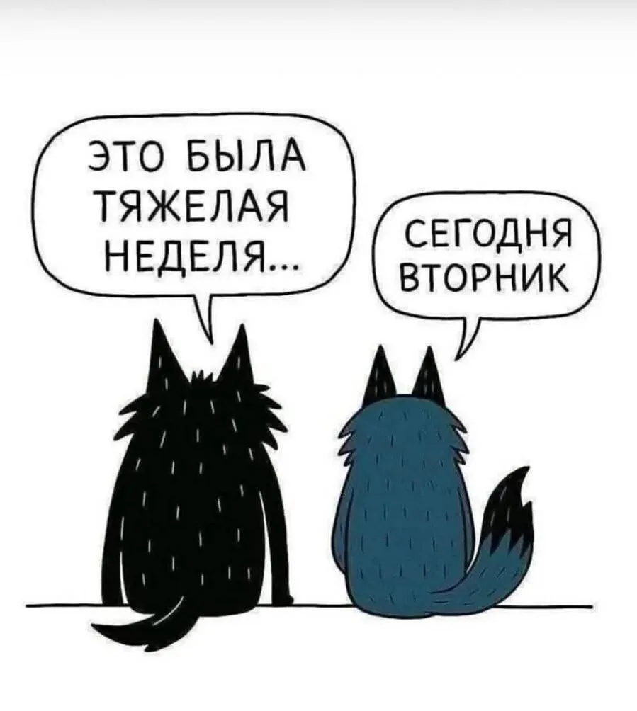 Бывало у вас такое? ⬆️