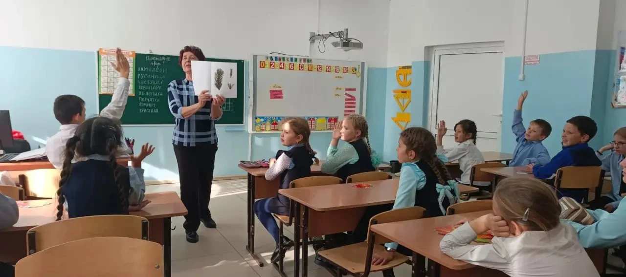 🌲Путешествие в мир природы: как проходит декада начальных классов!