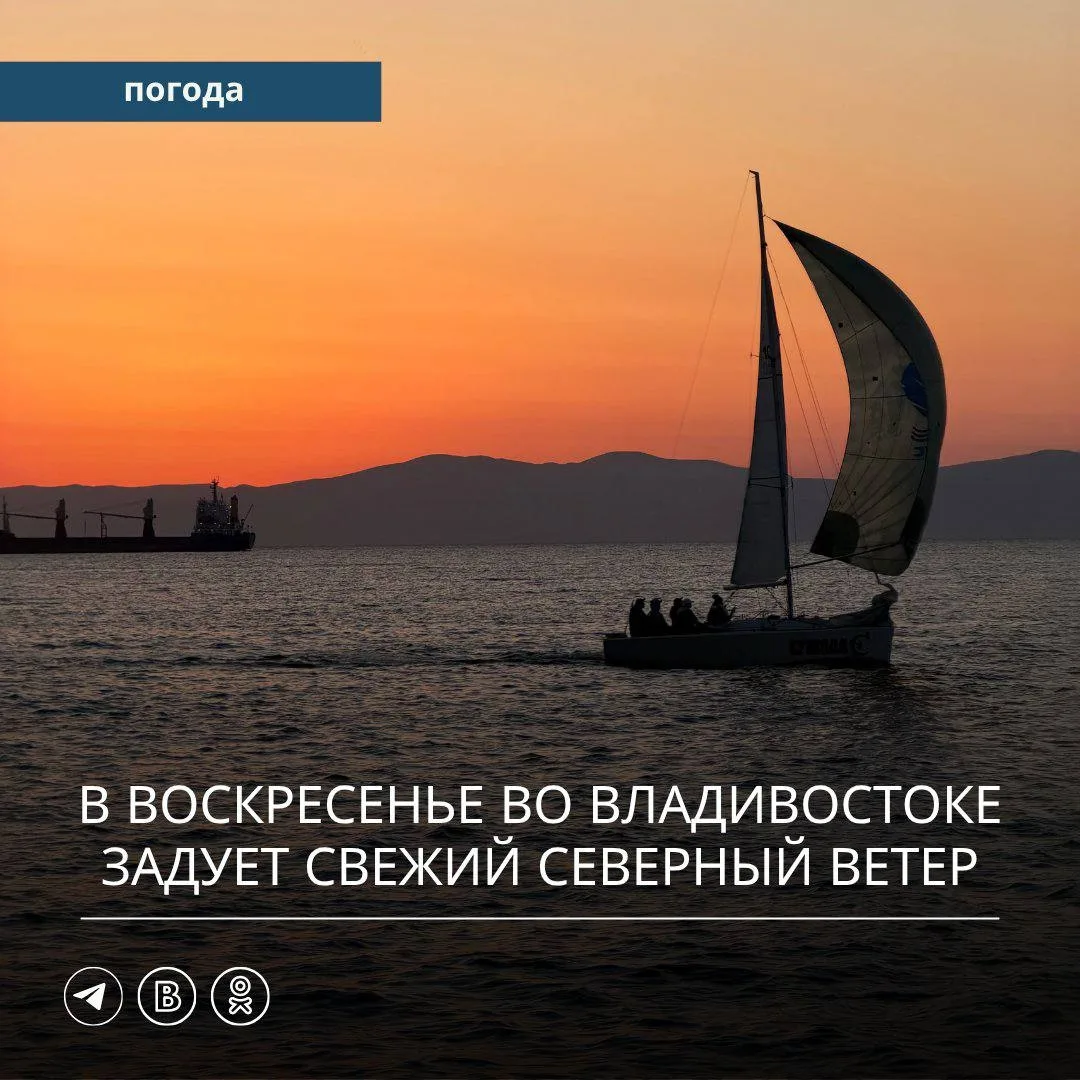 ☁️ На выходных в Приморье  станет прохладнее. В субботу, 10 октября, со стороны Китая к...