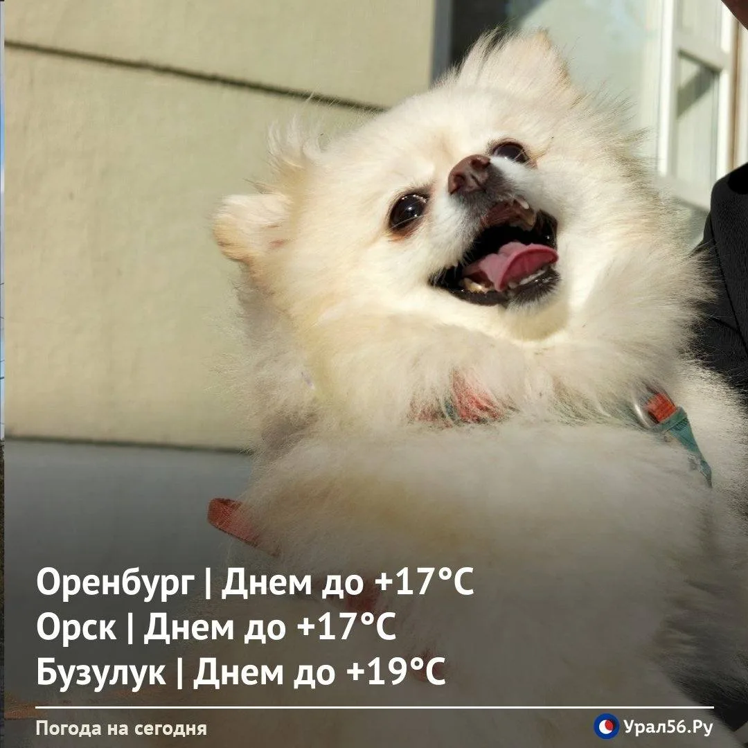 Доброе субботнее утро :)