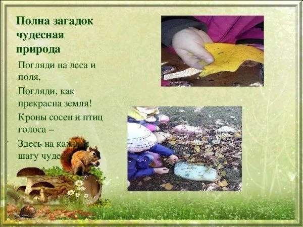 В отделении социальной диагностики и реабилитации прошла викторина "Загадки природы". М...