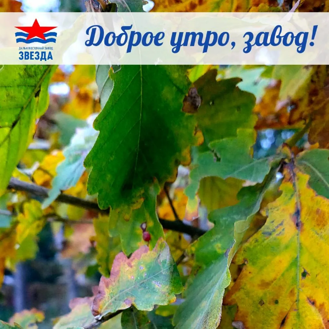 ☕Доброе утро, коллеги!
