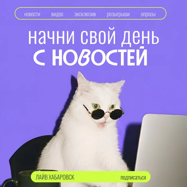 🤩 Твоя новость может принести тебе деньги
