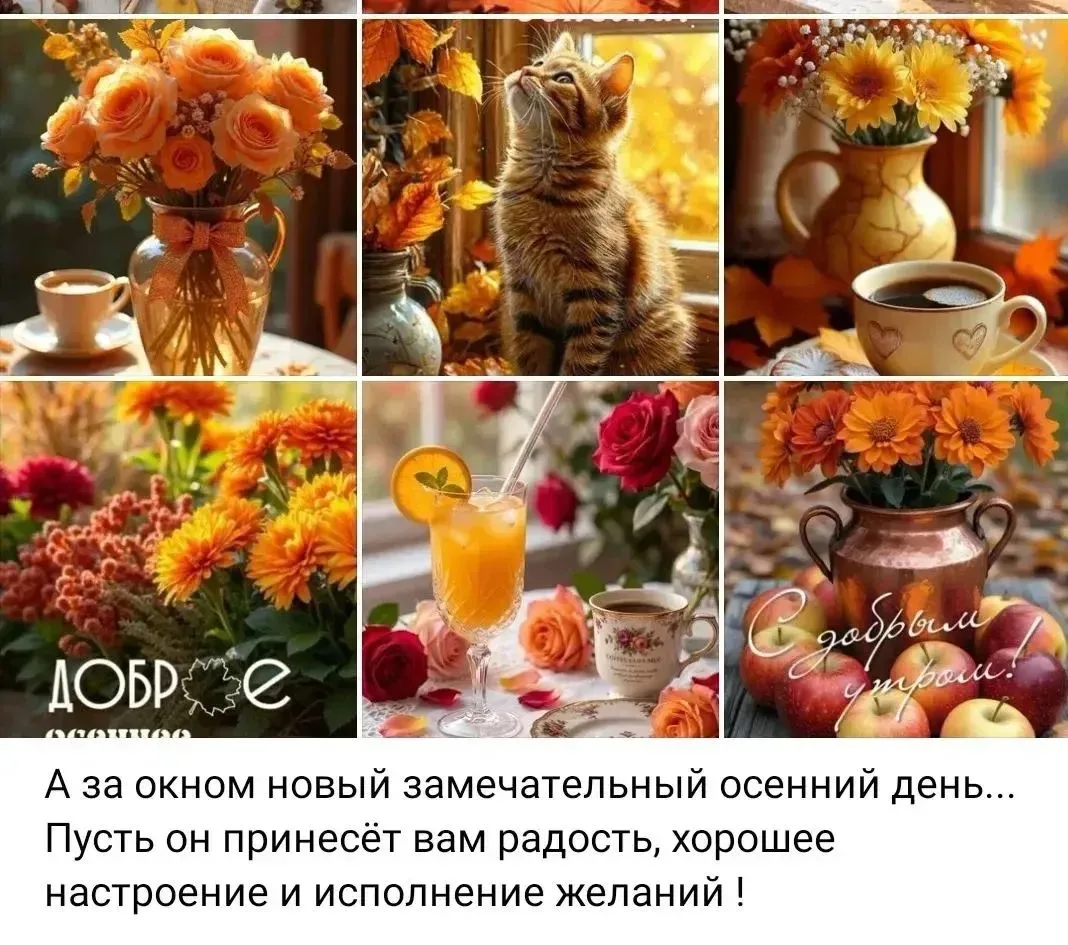 ⚡️Народные приметы на 9 октября