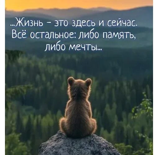 💯