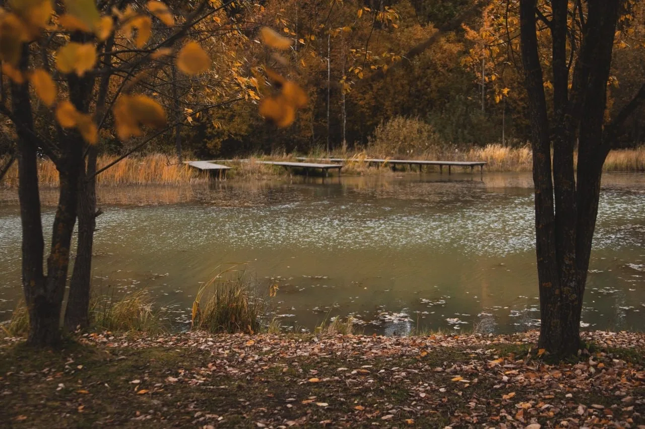 🍂Осень в Мещерском парке