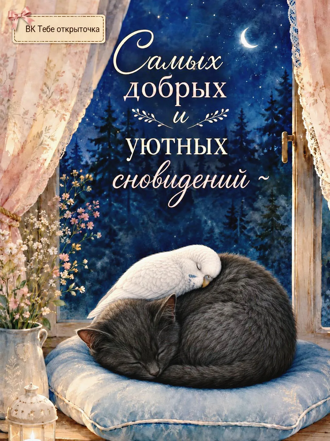 ✨СПОКОЙНОЙ НОЧИ