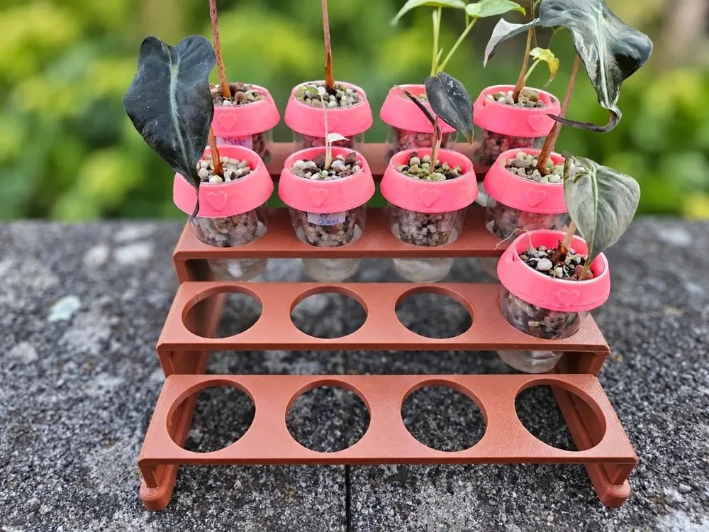 Кассета для рассады 🌱