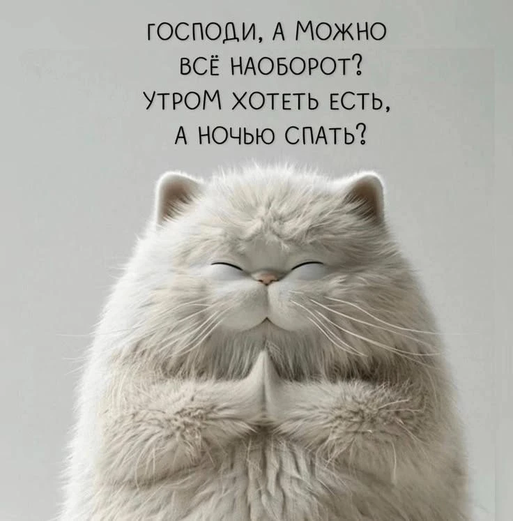 🥳 Веселья ЧАС - Присоединяйтесь