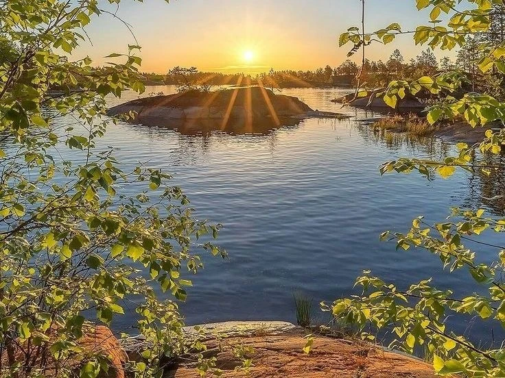 🌷 Доброе утро!