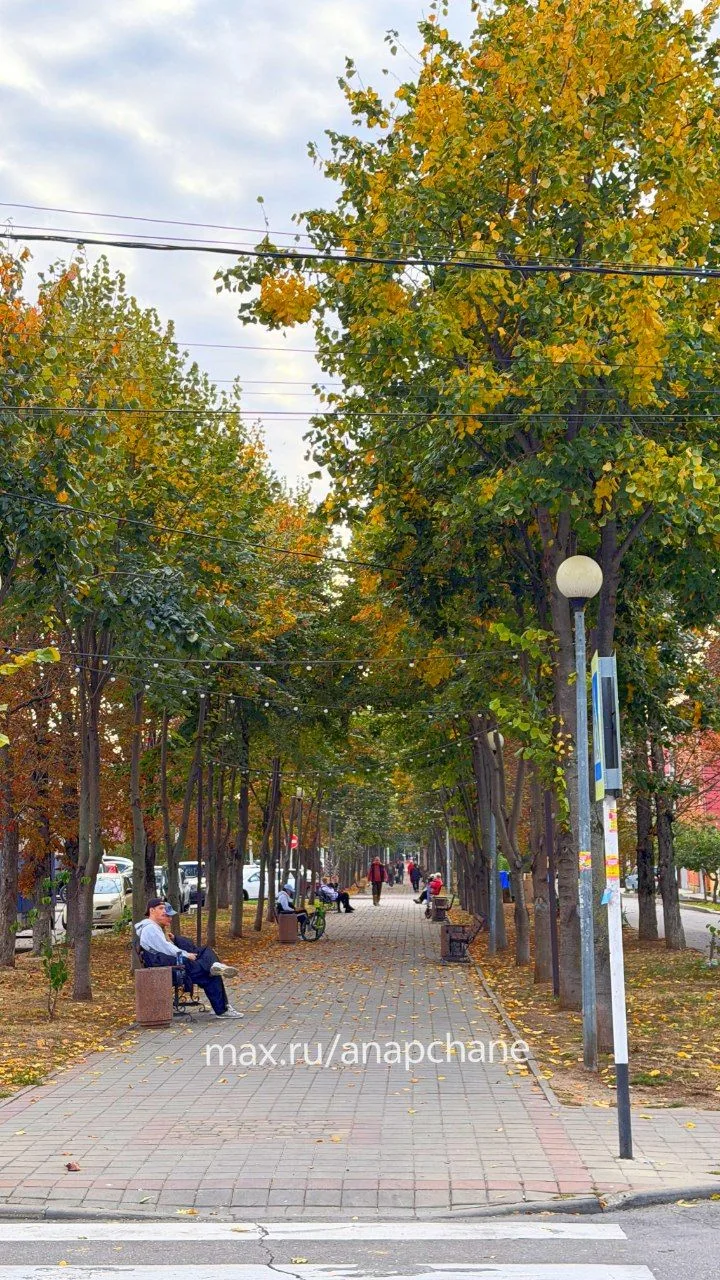 Анапа, аллея на улице Кати Соловьяновой в районе пятой школы и центрального рынка, октя...