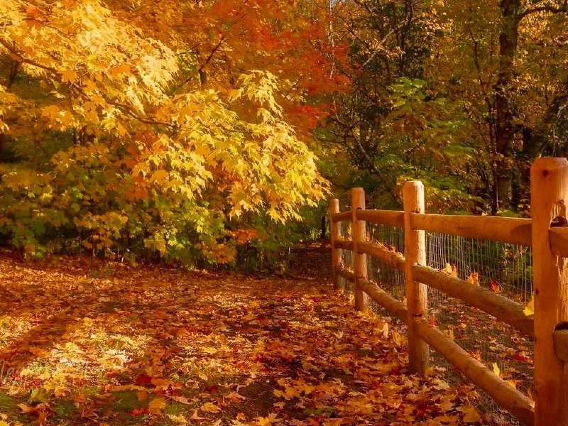 🍂 Доброе, осеннее утро, соседи!