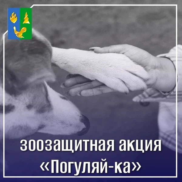 На территории Советского района продолжается  зоозащитная акция «Погуляй-ка», которая п...