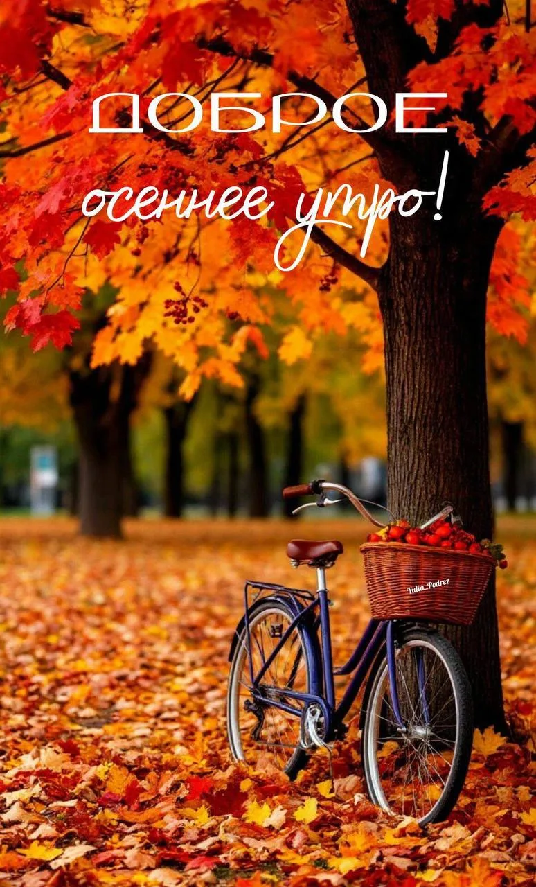 #ДоброеУтро
