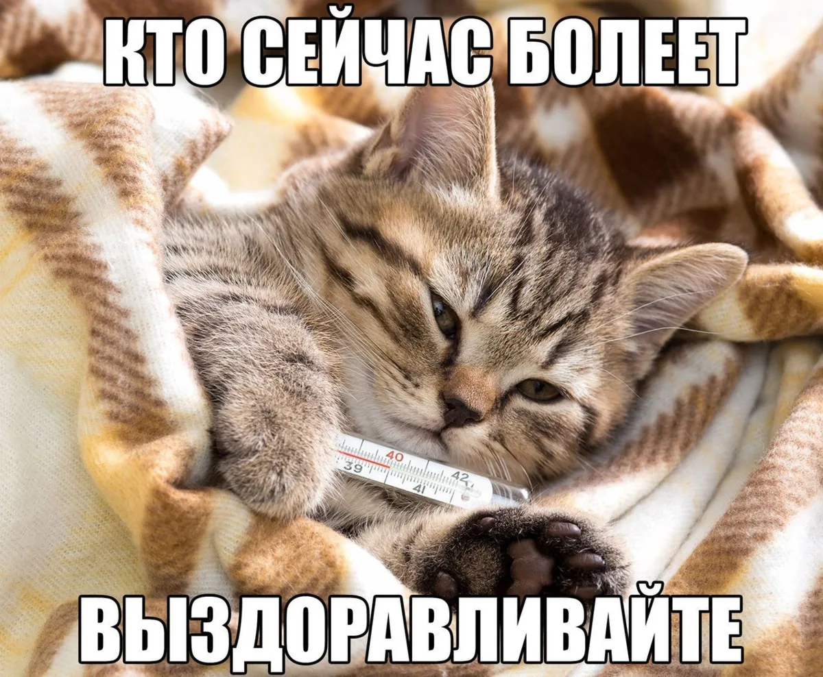 🤧 Более четырёх тысяч свердловчан обратились на горячую линию по гриппу и ОРВИ.