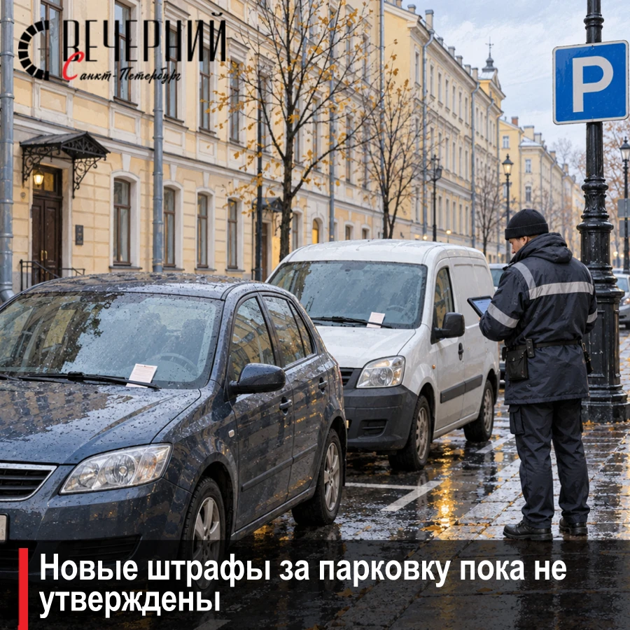 🅿️ Штрафы за неоплату парковки в Петербурге могут увеличить