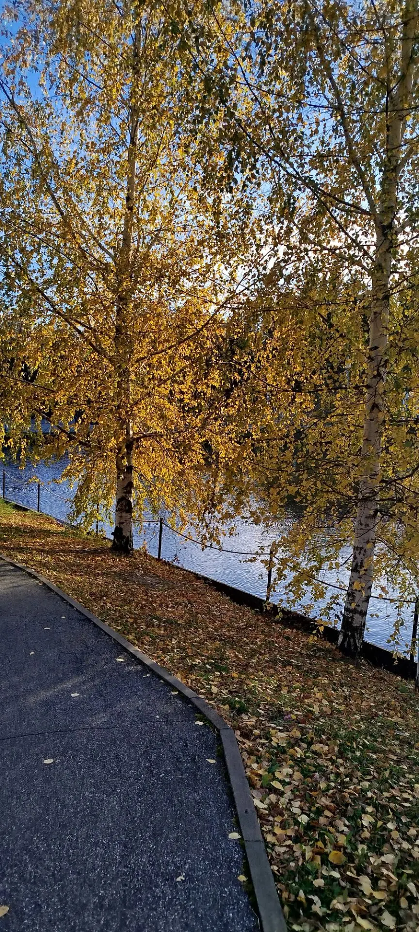 Доброе утро, друзья!