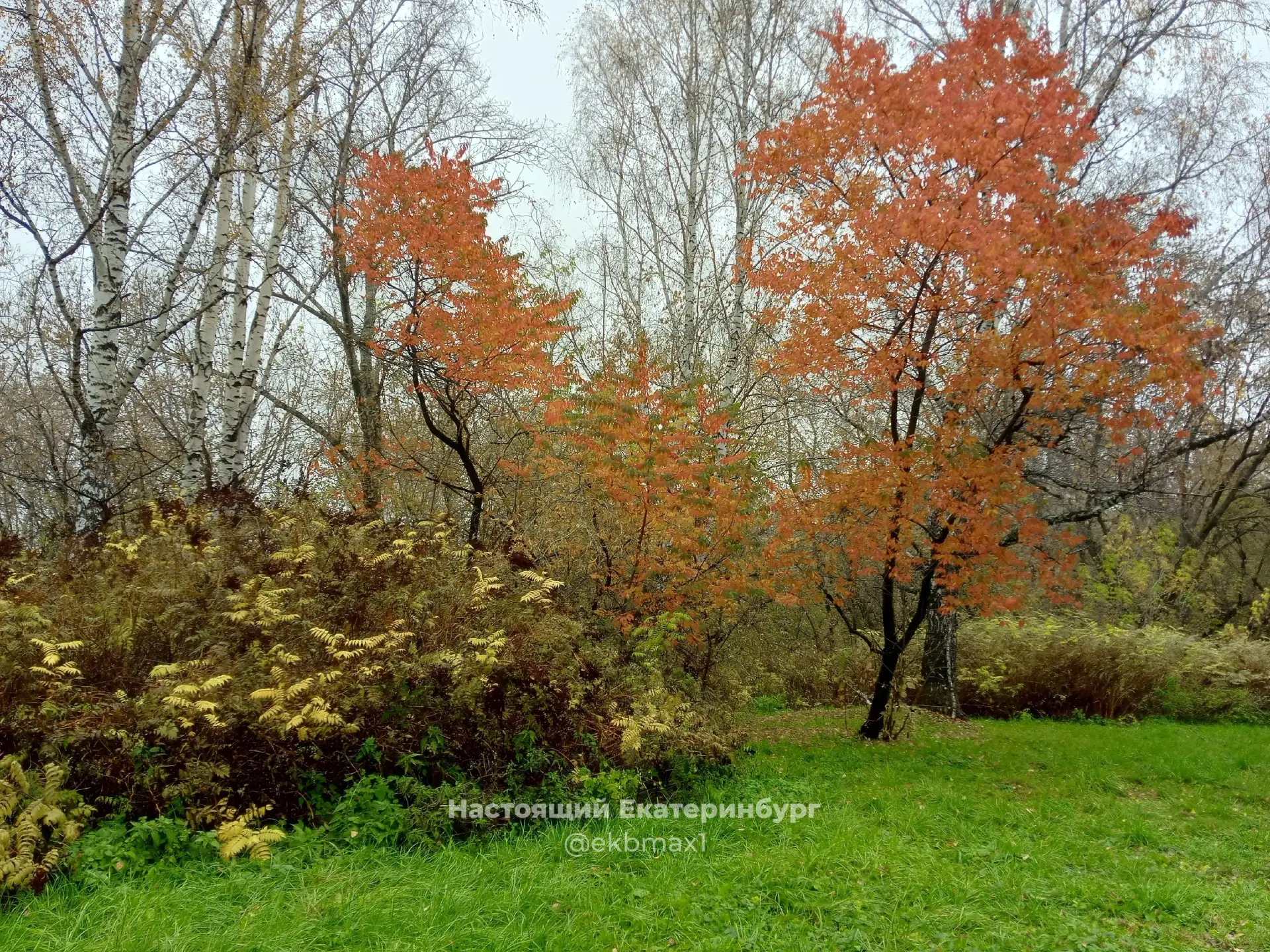 Ну красота же 🔥 Осень 🍂 Рулит 🫶