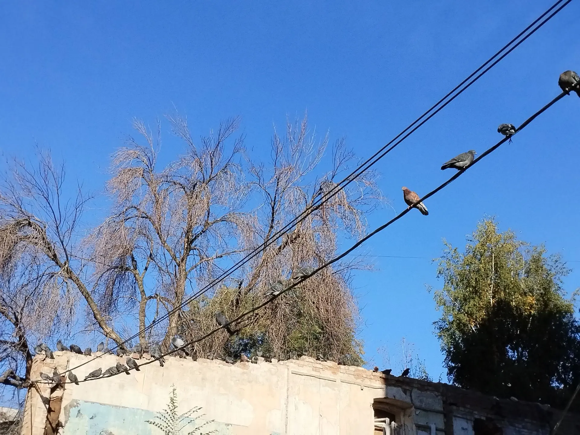 Саратов. Утро воскресенья.