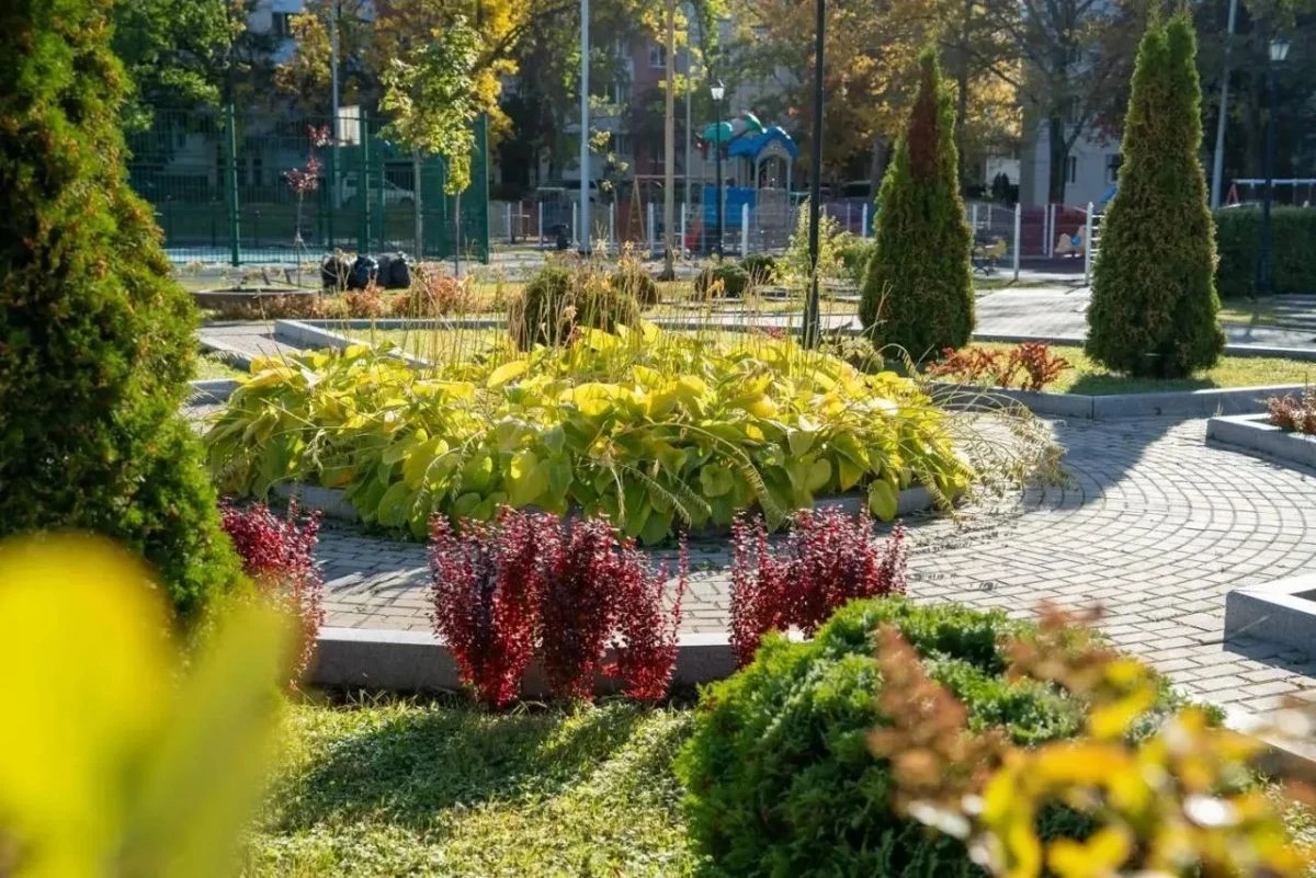 Клены, ели и сирень: в Южно-Сахалинске высадят 5800 деревьев и кустарников