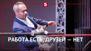 Мурлыкающая дилемма: почему главный повелитель пушистиков променял посиделки на усатое ...