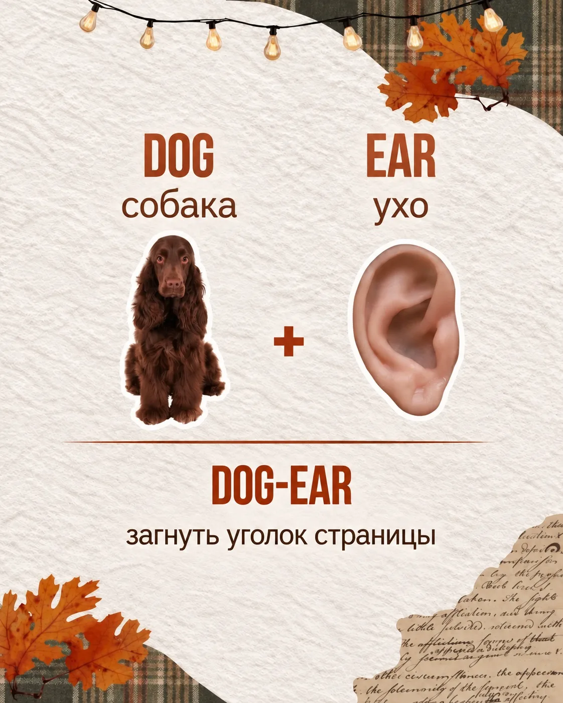 АНГЛИЙСКИЙ ПРО КНИГИ 📚💚