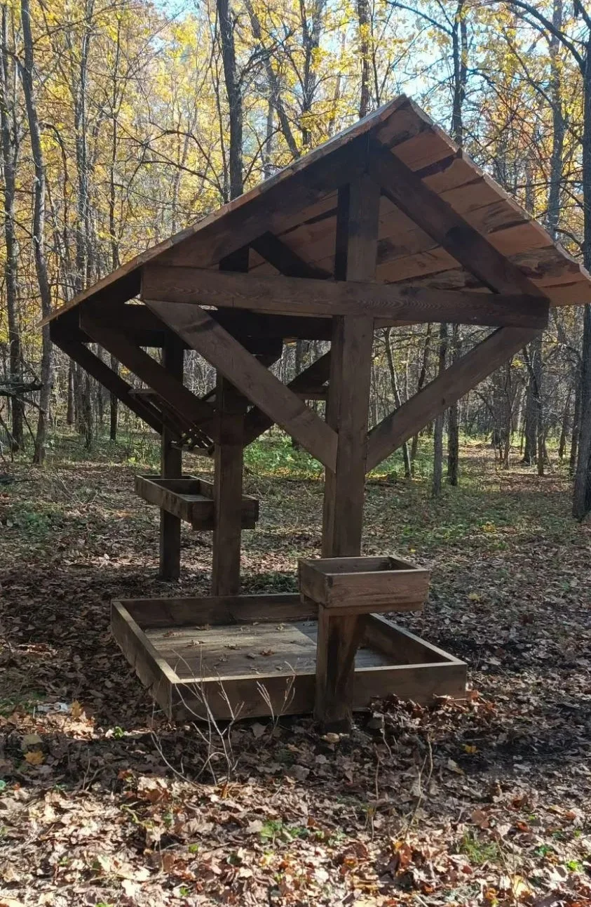 🍽 В Бузулукском бору обновили лесные «столовые»