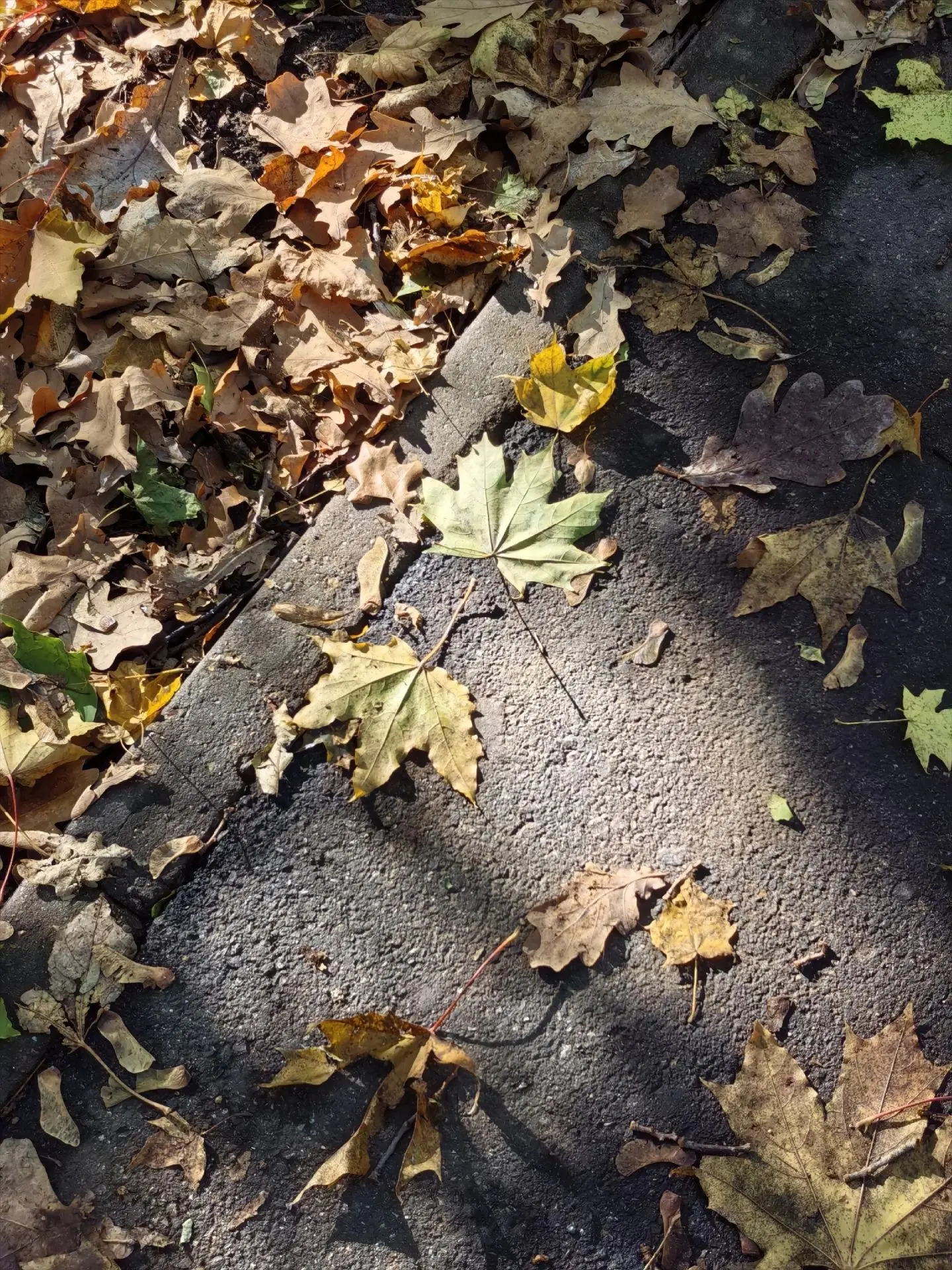 🍂 Доброе утро, Новокуйбышевск!