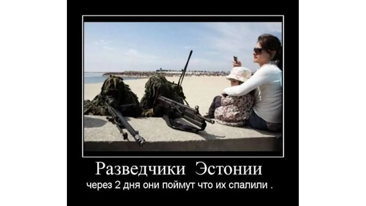Минобороны Эстонии потратит €250 тыс. на фильмы, мультики и игры, «укрепляющие в жителя...