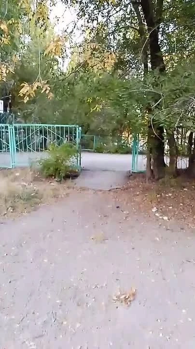 🏙 Просим включить детскую площадку на Толбухина в программу благоустройства!