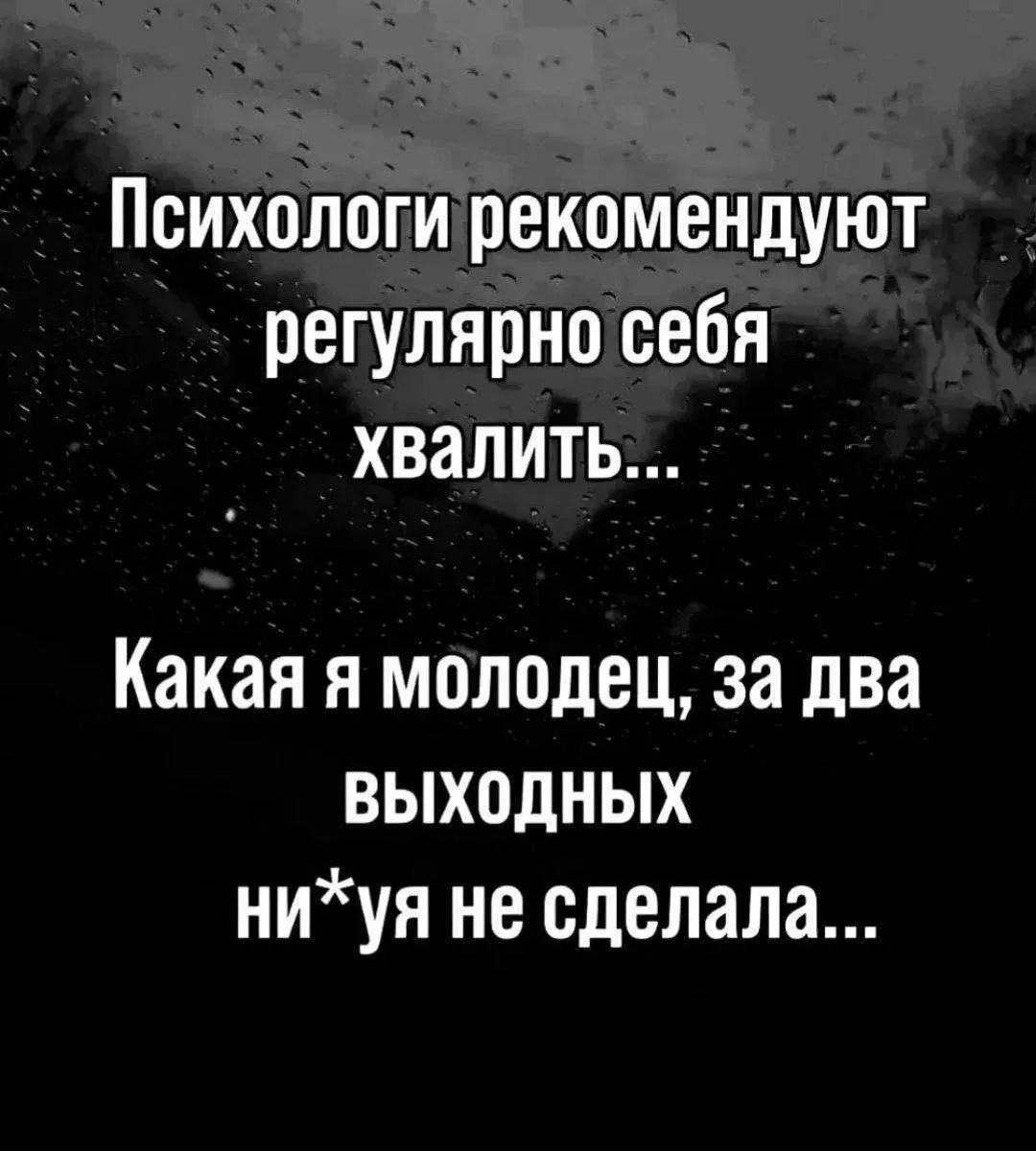 🤣🤣🤣