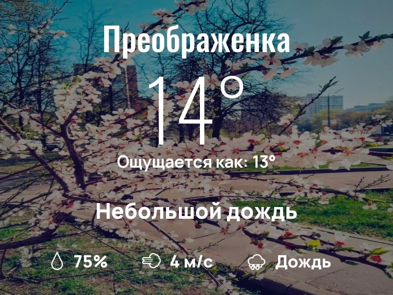 Что с погодой в Преображенском?