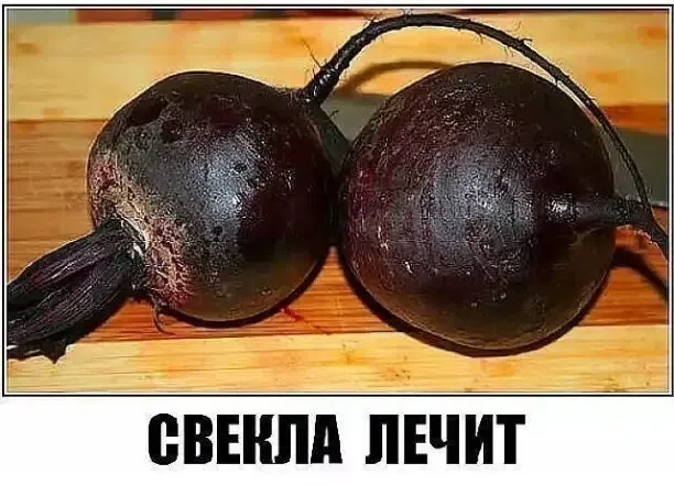 НЕВЕРОЯТНО - НО - ФАКТ ! ,