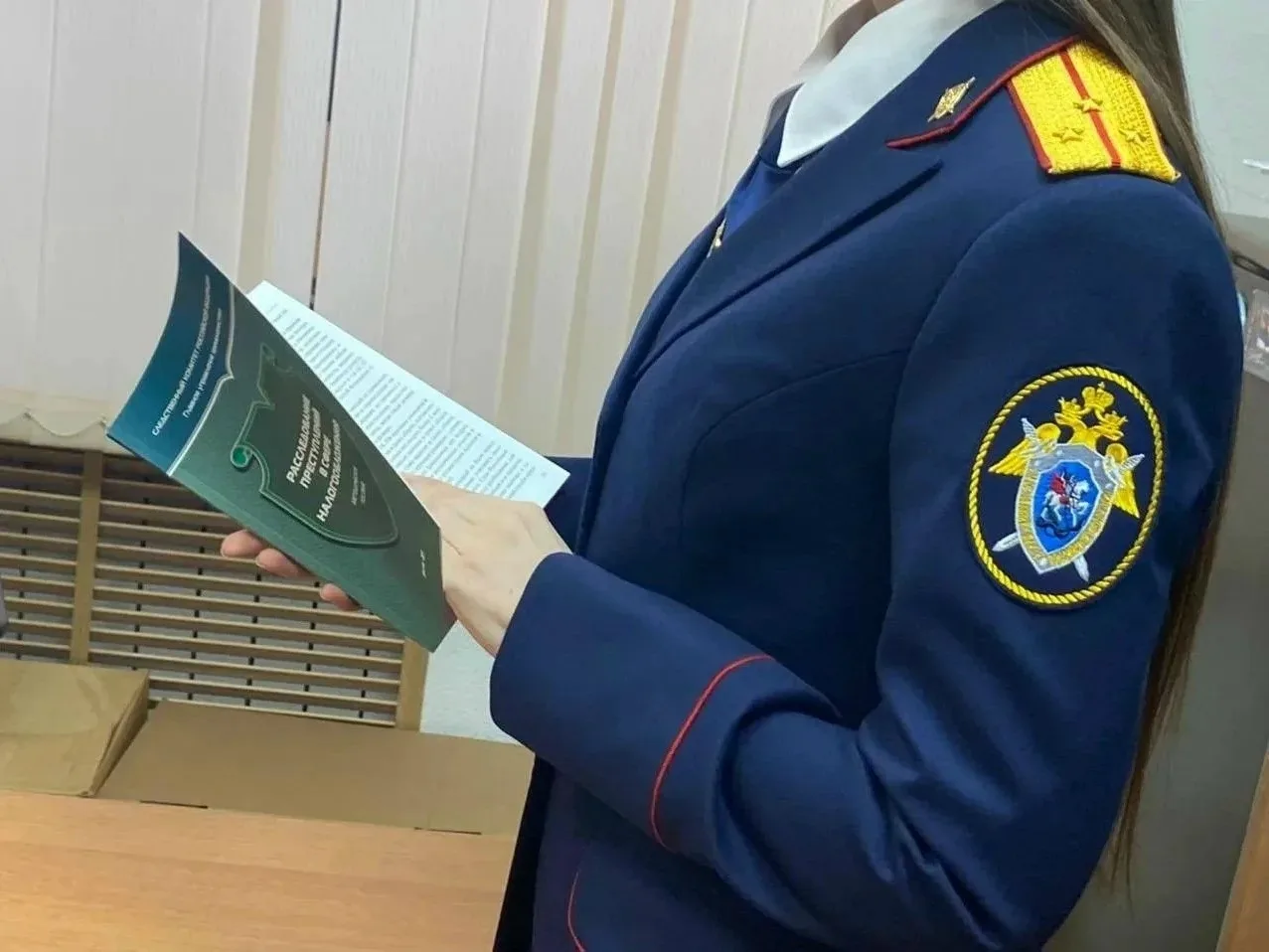 В Туле перед судом предстанут руководители коммерческой фирмы, обвиняемые в уклонении о...