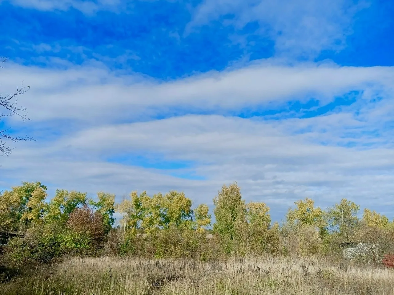 Прекрасное фото!
