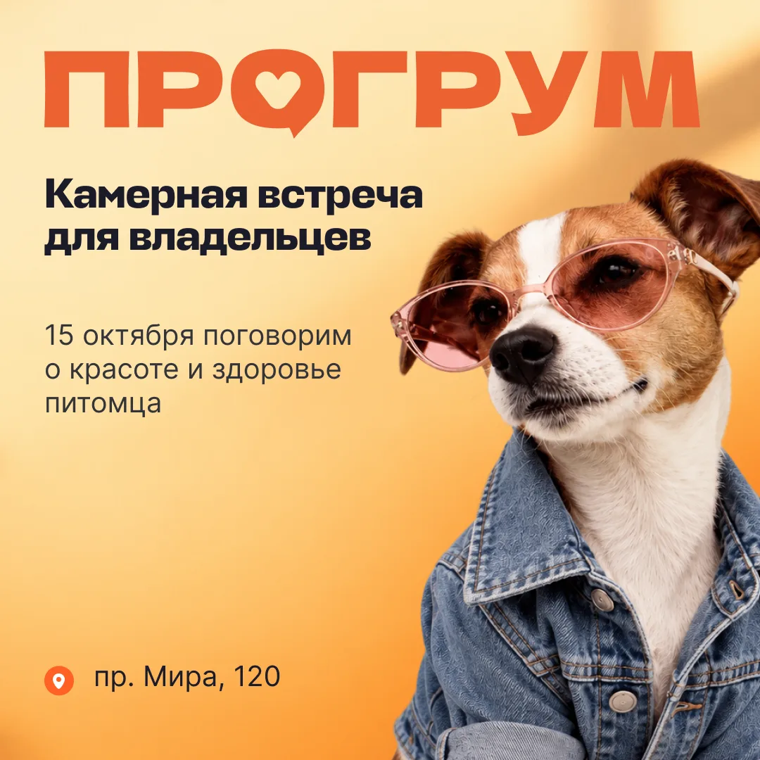 15 октября в салоне Vetcity Grooming пройдет встреча о красоте, здоровье и уходе за пит...