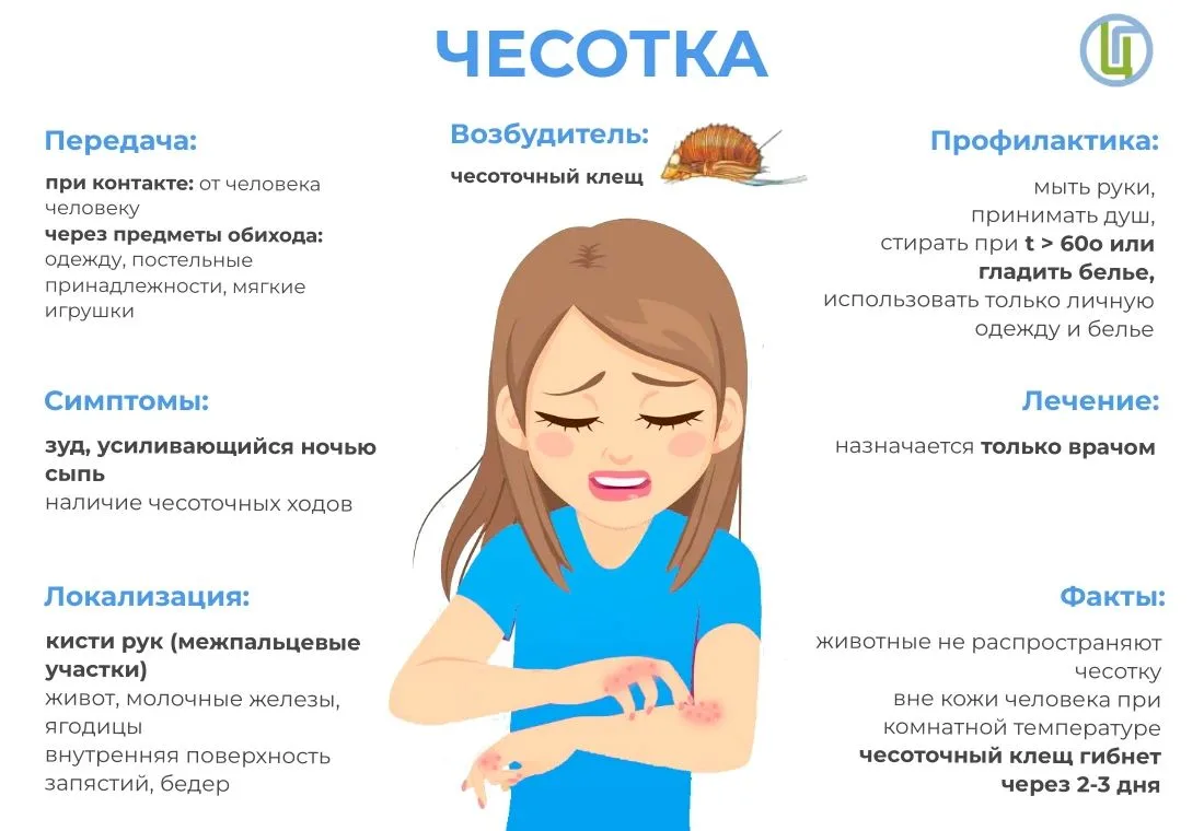 Скабиес, чесотка – это паразитарное заразное заболевание кожи.