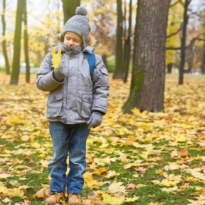 🍁🎒Осенние каникулы в 2026 году будут рекордно длинными. Они продлятся с 26 октября по...