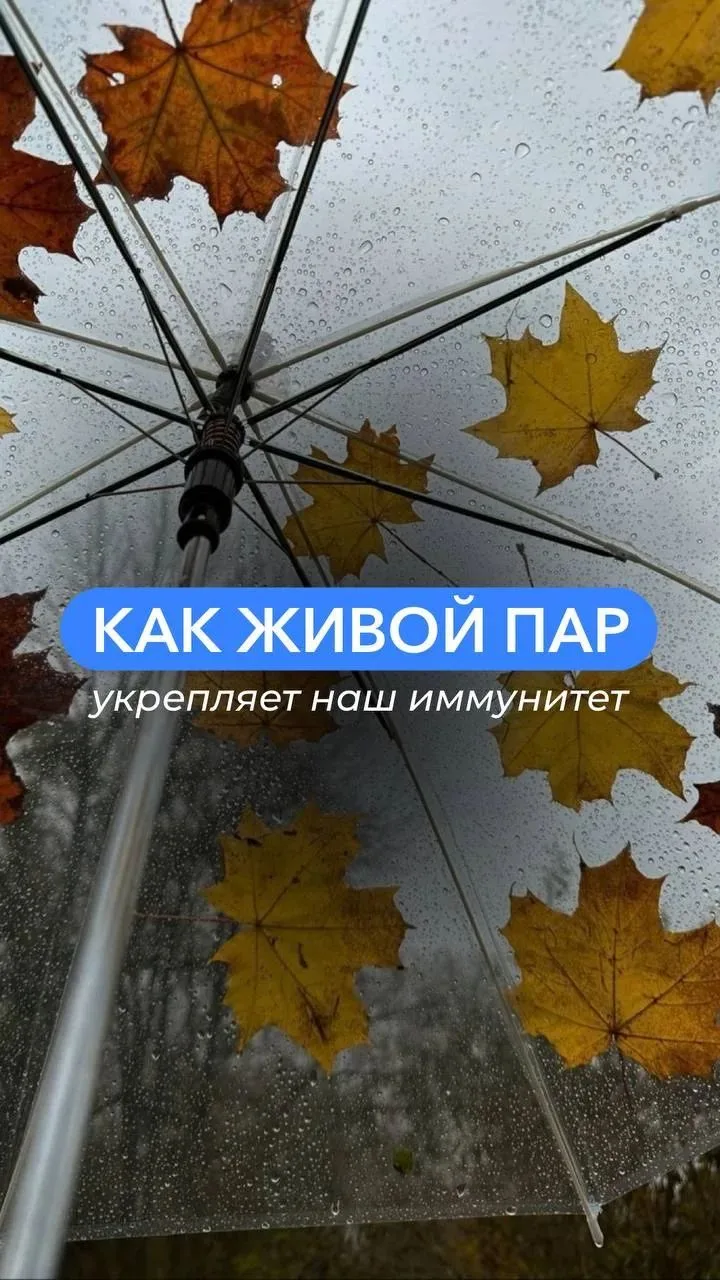 🍂 Осень — время укреплять иммунитет